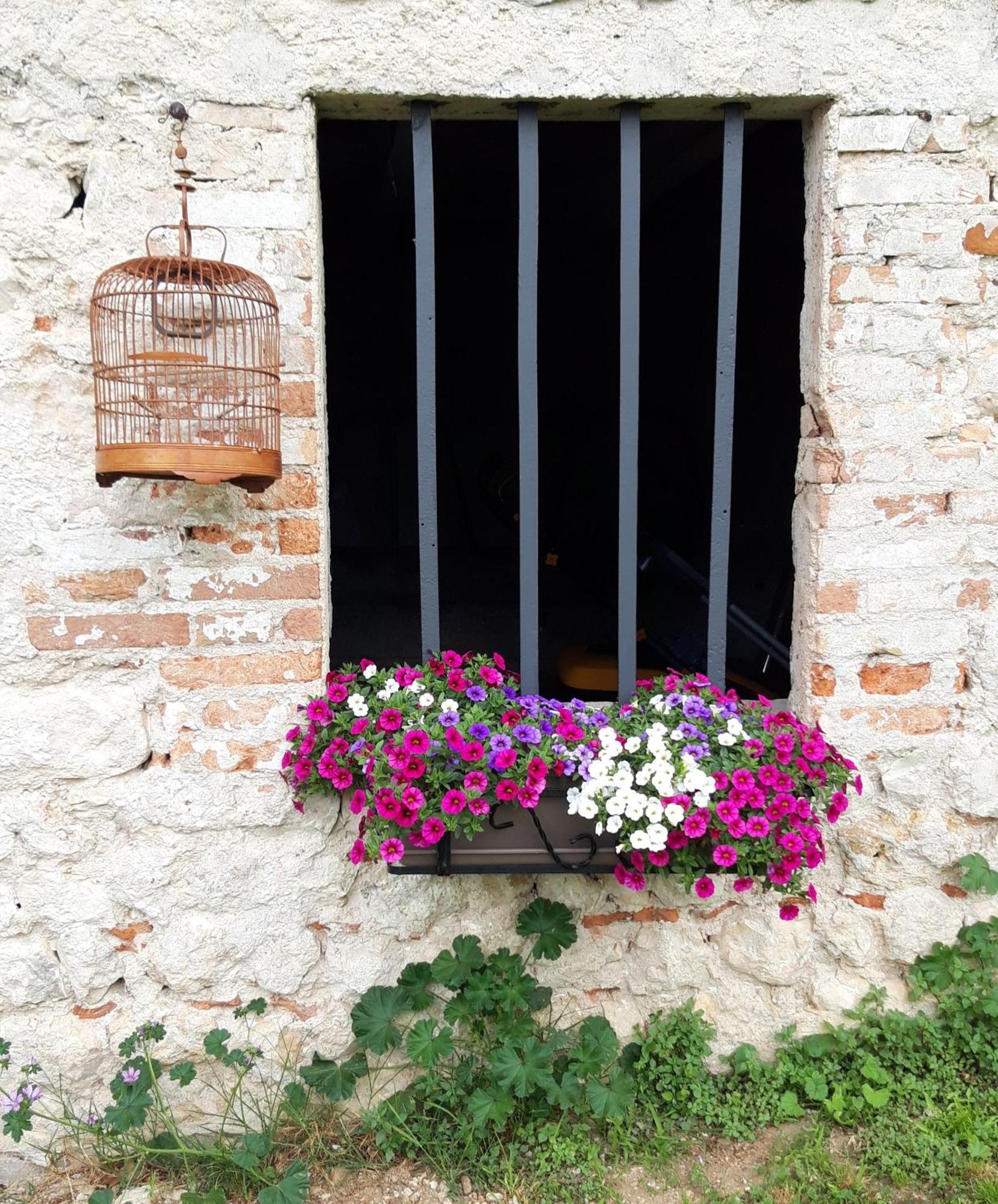 Ferienwohnung Casa Paola Borso del Grappa Exterior foto