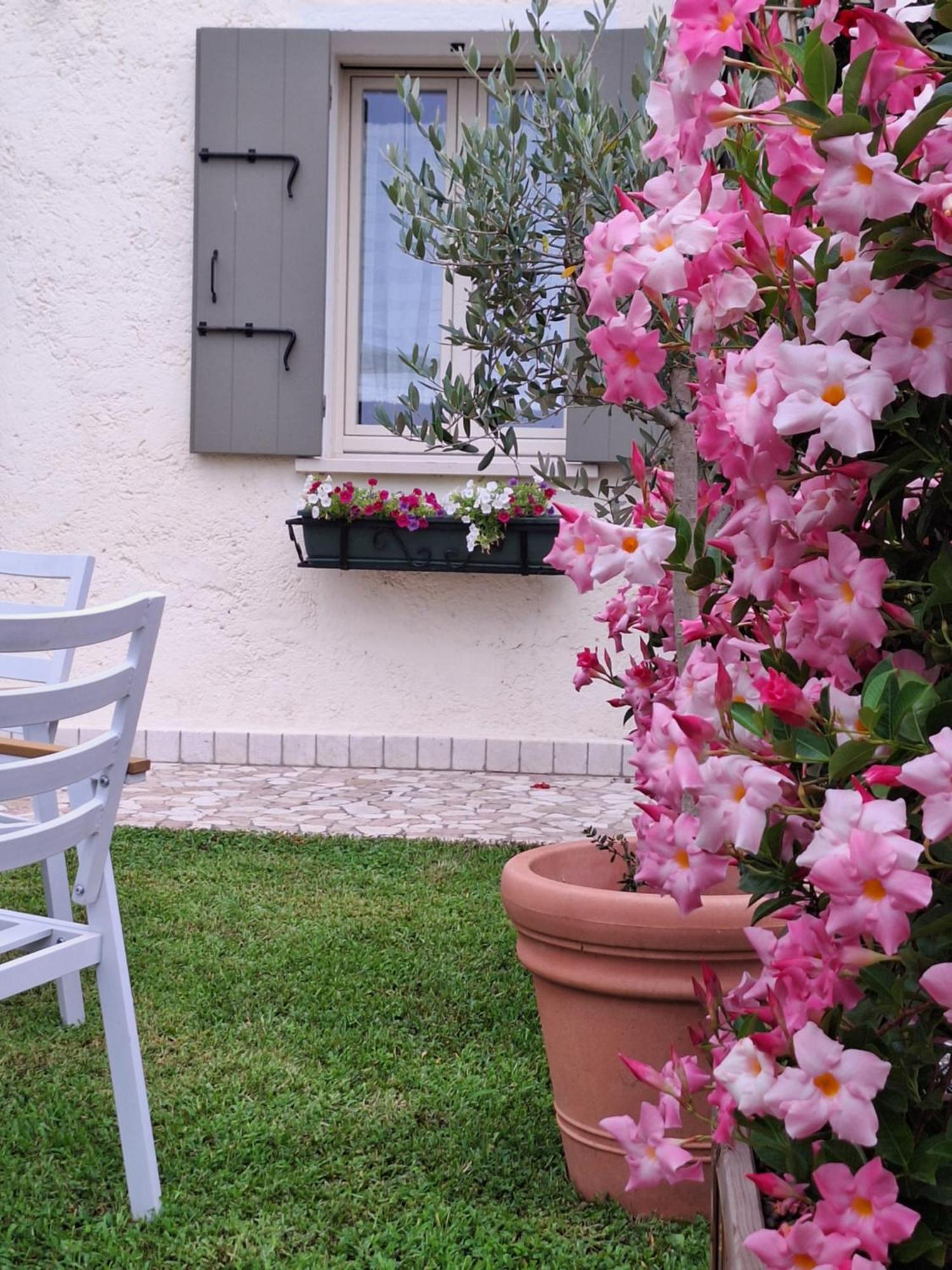 Ferienwohnung Casa Paola Borso del Grappa Exterior foto